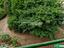 Immagine 28