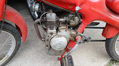 Motom 48