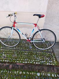bicicletta