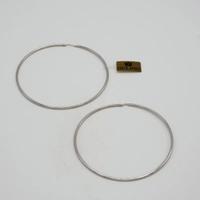 Orecchini Chimera in argento 925 a cerchio E.300