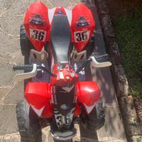 QUAD ELETTRICO