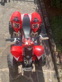 QUAD ELETTRICO