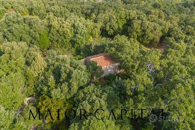 Telti - Calangianus | Terreno di 13,5 Ettari