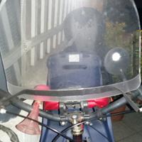 BELELLI Parabrezza per Bici