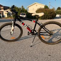 Mountain Bike bimbo 20”
