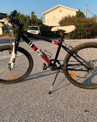 Mountain Bike bimbo 20”
