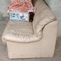 2 divani pelle / tessuto