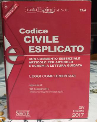 Codice Civile Esplicato