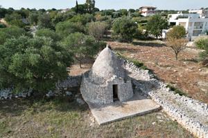 TER. AGRICOLO A POLIGNANO A MARE