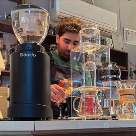 Barista /Cameriere