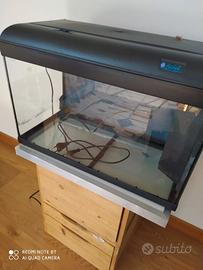 Acquario Birby 2