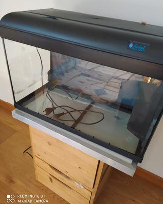 Acquario Birby 2