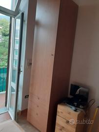 Armadio stretto color legno 60x60x255