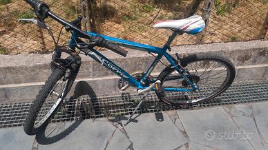 bicicletta 