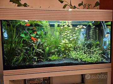 Askoll pure led xl
