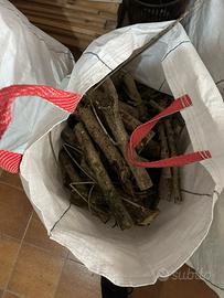 Legna legno oleandro