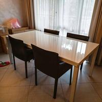 tavolo in vetro satinato allungabile