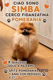 Pomerania x monta