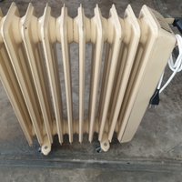 Termosifone elettrico