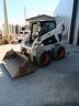 bobcat