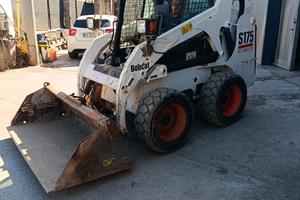 Bobcat