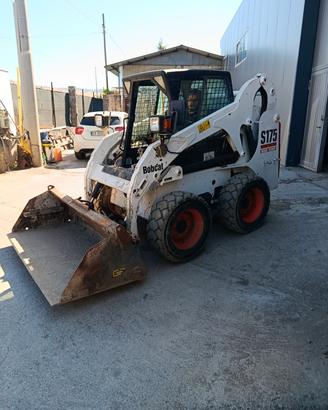 Bobcat