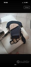 Marsupio brevi