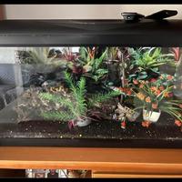 Acquario da 100 litri