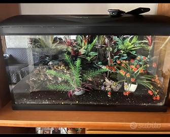 Acquario da 100 litri