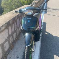 Liberty 50 2t TRATTABILE