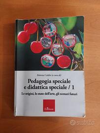 Pedagogia speciale e didattica speciale 