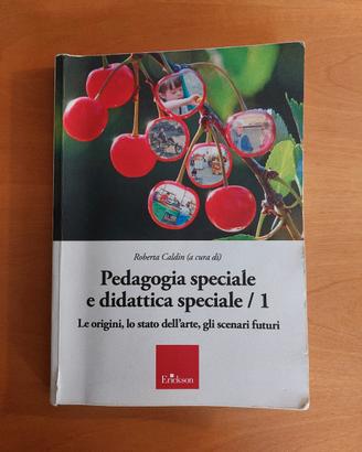 Pedagogia speciale e didattica speciale 
