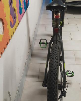 ebike