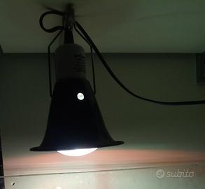 Portalampada per rettilario REPTI ZOO + lamp. 70W