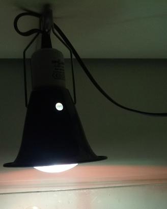 Portalampada per rettilario REPTI ZOO + lamp. 70W