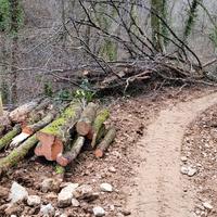 Legna pronta da caricare