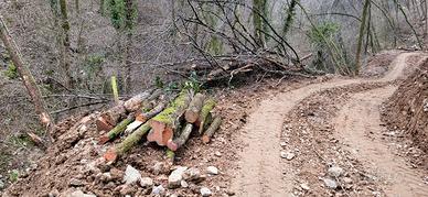 Legna pronta da caricare