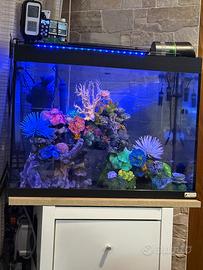 Acquario tetra 80 litri