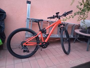 bicicletta 