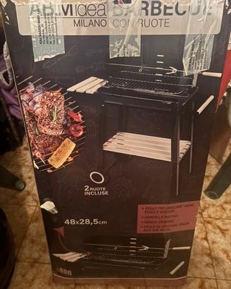 Barbecue a carbonella 48x28cm