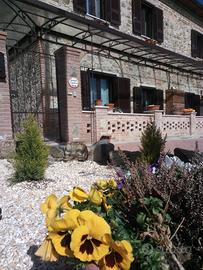 Affittacamere "Il Panorama"