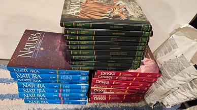 enciclopedia 