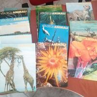 Enciclopedia illustrata sul mondo degli animali