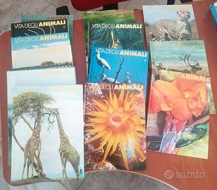 Enciclopedia illustrata sul mondo degli animali