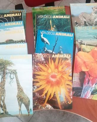 Enciclopedia illustrata sul mondo degli animali