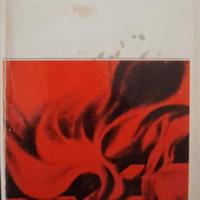 Torna coniglio  - John Updike