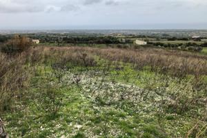 Appezzamento di terreno