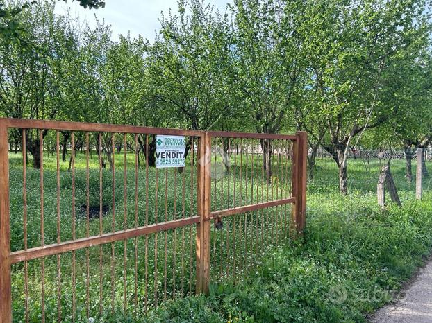 TER. AGRICOLO A SANTO STEFANO DEL SOLE