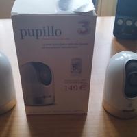 coppia pupillo vintage