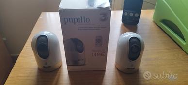 coppia pupillo vintage